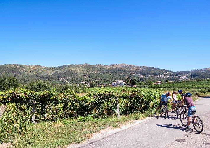 Easy wine bike tour in Portugal green wine region, vinho verde Ponte de Lima, Viana do Castelo, Arcos de Valdevez, Ponte da Barca.