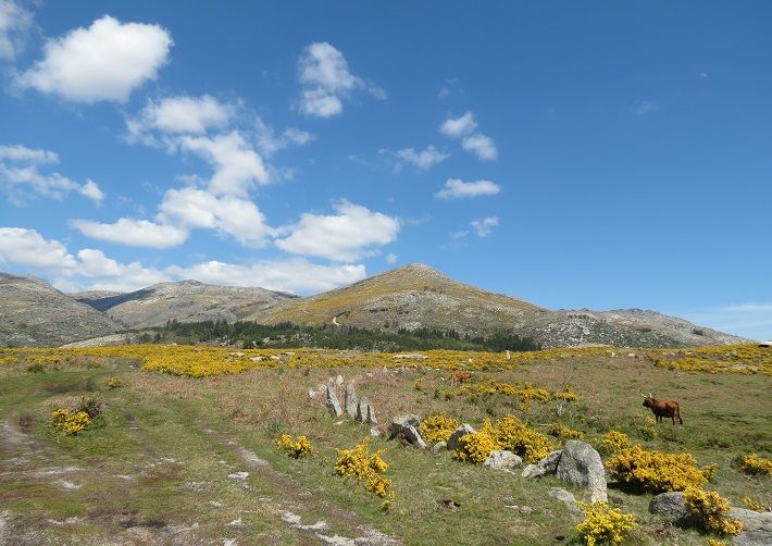 Portugal walking tour holiday Peneda Gerês National Park. Explore the authentic Portugal, away from the crowds and walking through stunning landscapes in the only National Park. 