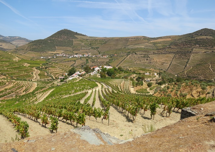 Self-guided walking tour in Douro Valley Portugal wine country
